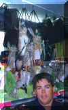rabbits.jpg (23720 bytes)
